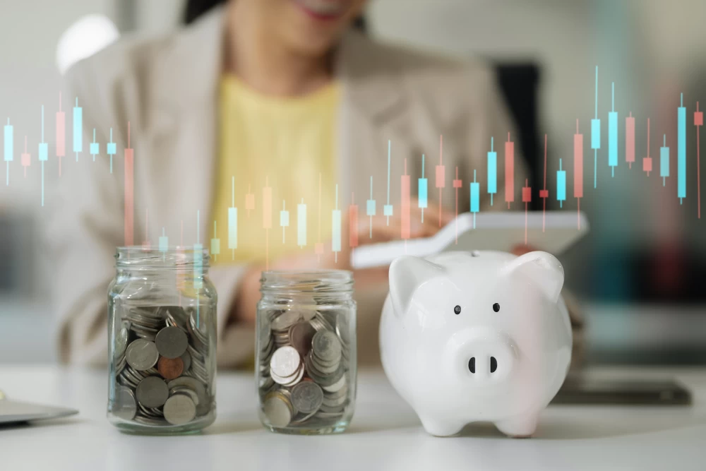 Fiscalité des particuliers